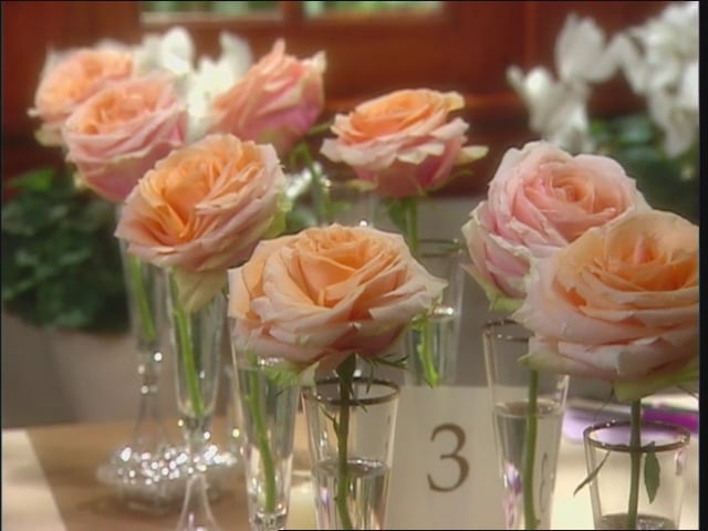 MSL Season 11 Episode 362V