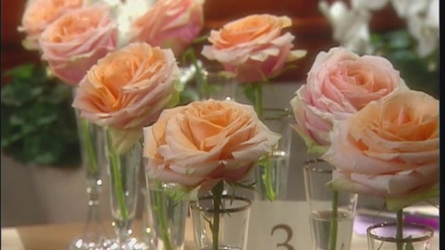 MSL Season 11 Episode 362V