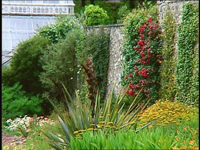 MSL Season 10 Episode 373V