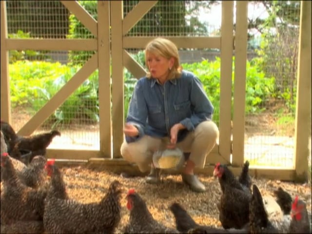 MSL Season 10 Episode 103V