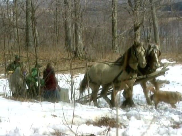 MSL Season 6 Episode 325V