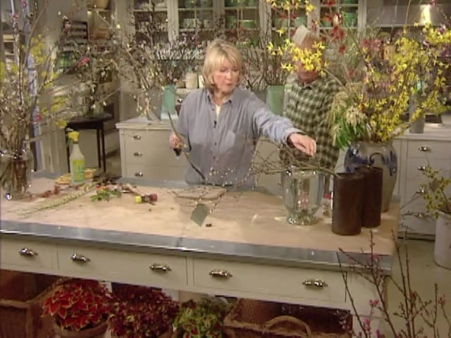 MSL Season 5 Episode 255V