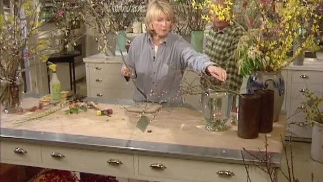 MSL Season 5 Episode 255V