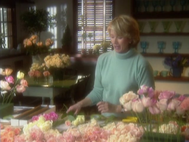 MSL Season 2 Episode 23V