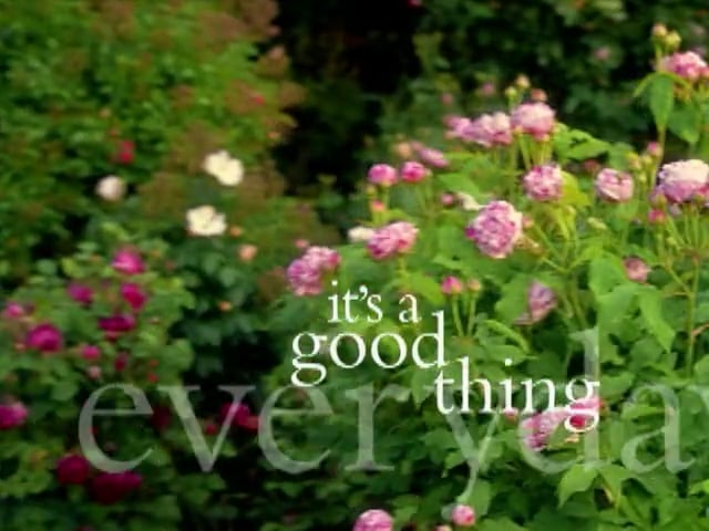 MSL Season 5 Episode 141V