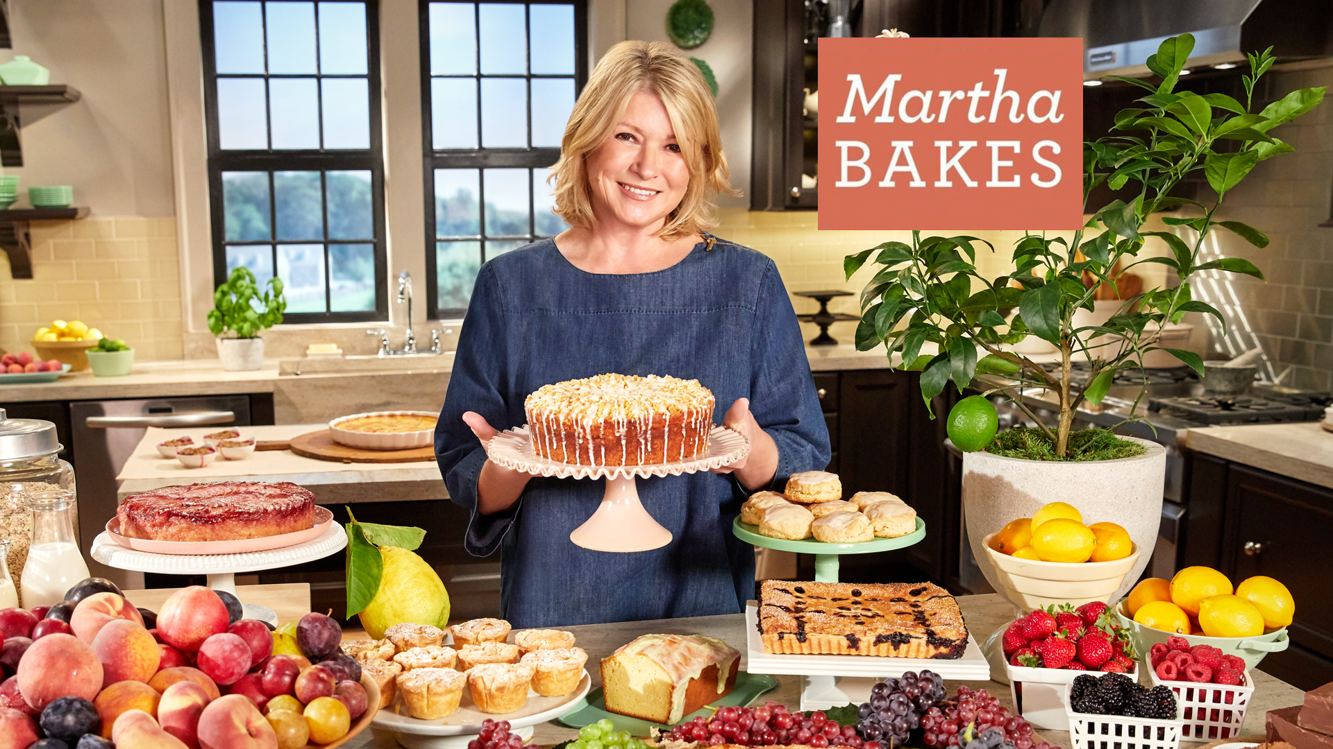 Browse - Martha Stewart TV
