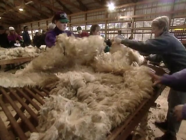 MSL Season 6 Episode 372V