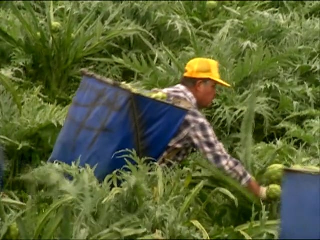 MSL Season 8 Episode 353V