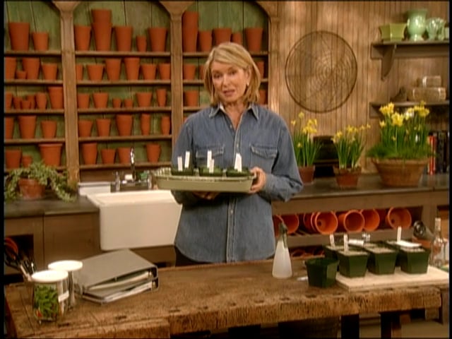 MSL Season 8 Episode 264V