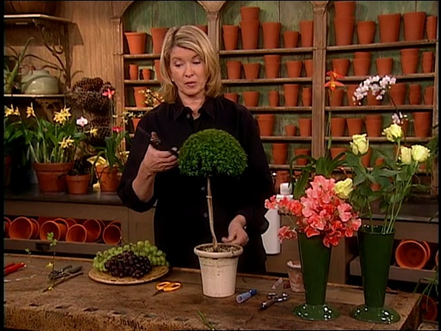 MSL Season 8 Episode 315V