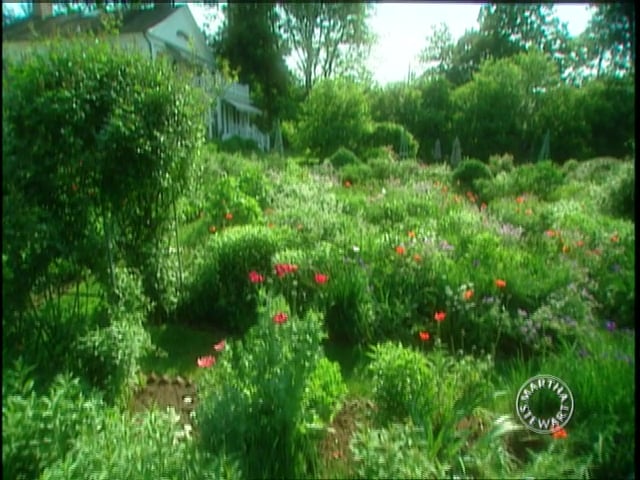 MSL Season 9 Episode 362V