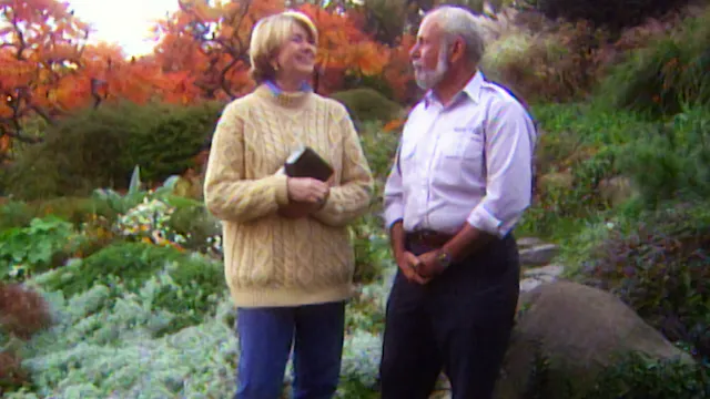 MSL S3 E07 Propagating Ivy, Wood Care...
