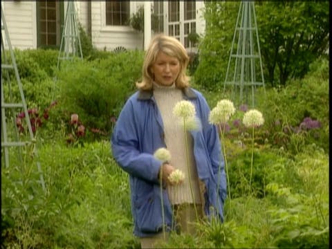 MSL Season 9 Episode 391V