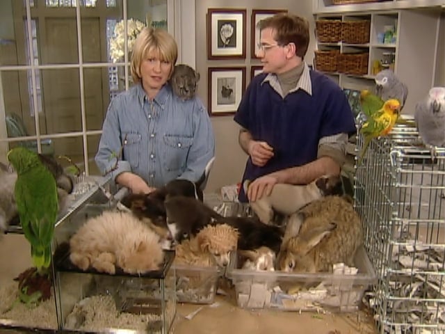 MSL Season 5 Episode 355V