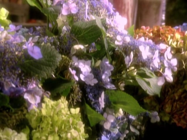 MSL Season 5 Episode 014V