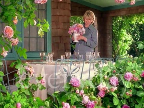 MSL Season 5 Episode 212V