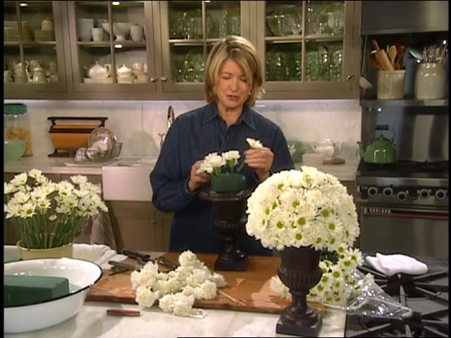 MSL Season 10 Episode 102V