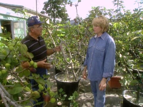 MSL Season 6 Episode 042V