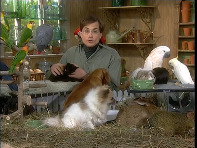 MSL Season 9 Episode 134V