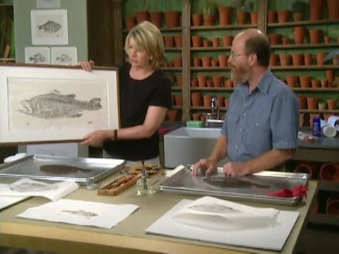 MSL Season 10 Episode 495V