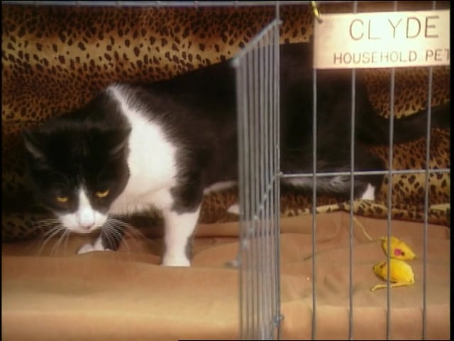 MSL Season 7 Episode 323V