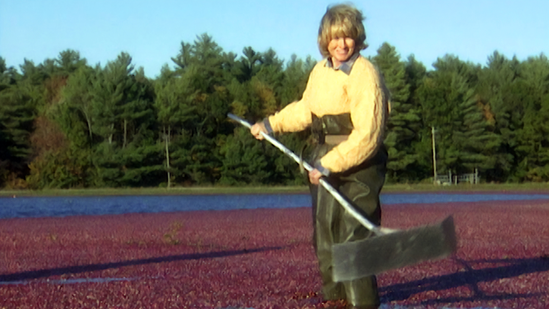 MSL S4 E10 Cranberry Bog, Spiced Cranberry Mold