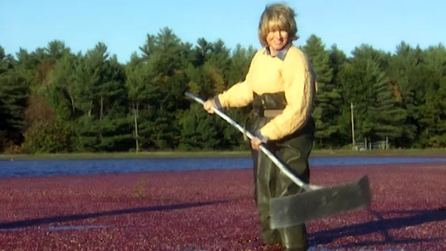MSL S4 E10 Cranberry Bog, Spiced Cran...
