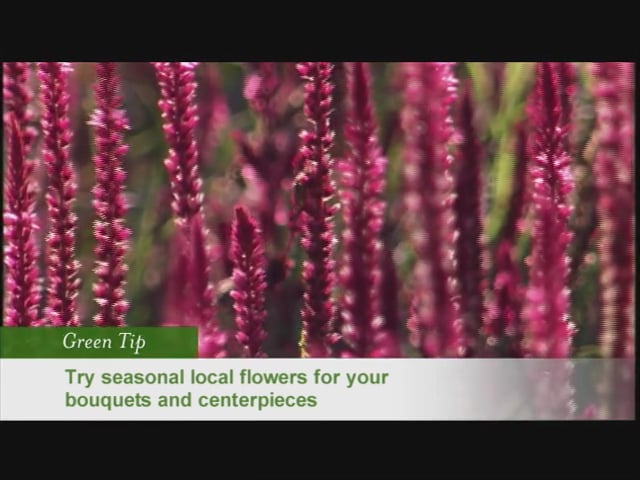 A Martha Stewart Wedding: Gorgeous and Green