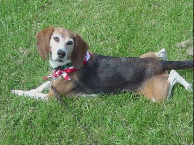 MSL Season 11 Episode 375V