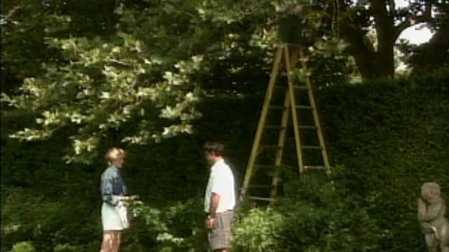 MSL Season 1 Episode 05V
