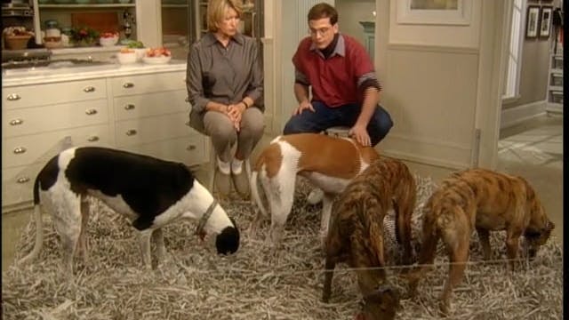 MSL Season 7 Episode 045V