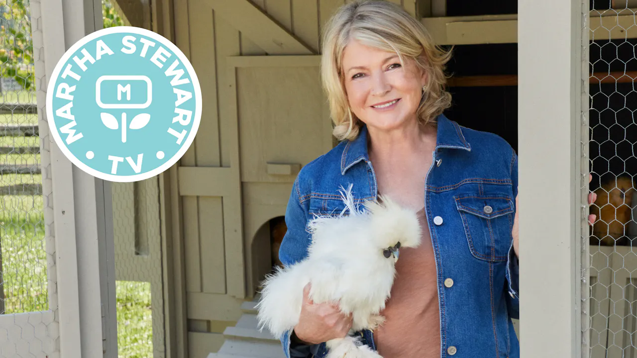 Browse - Martha Stewart TV