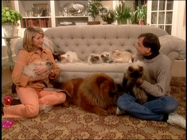 MSL Season 8 Episode 331V