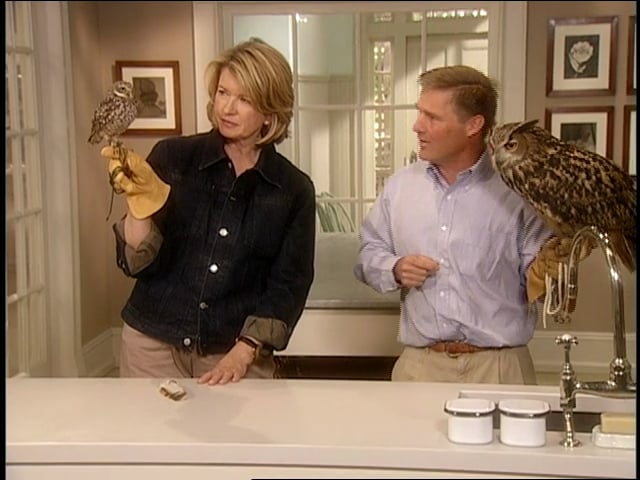 MSL Season 8 Episode 103V