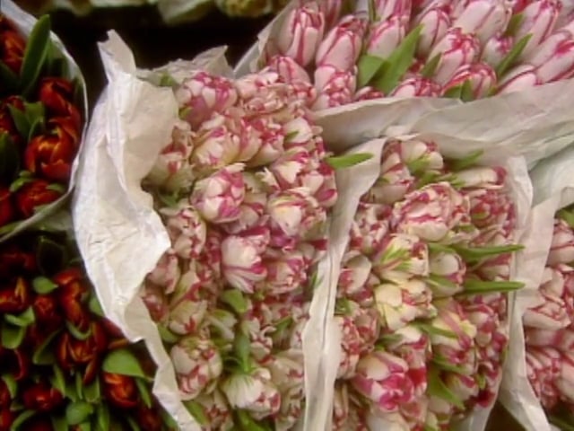 MSL Season 3 Episode 20V