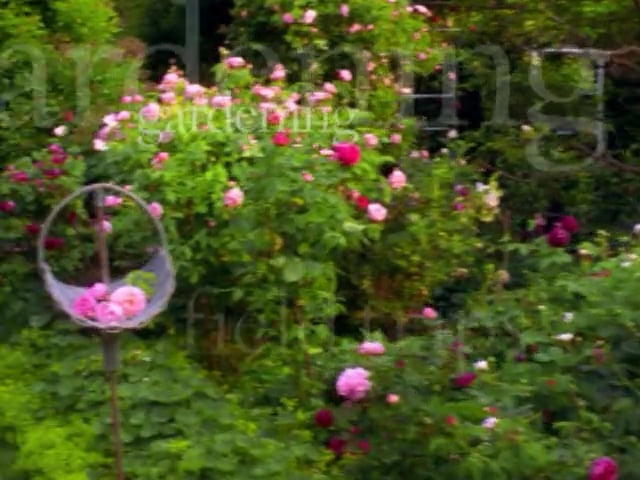 MSL Season 5 Episode 142V