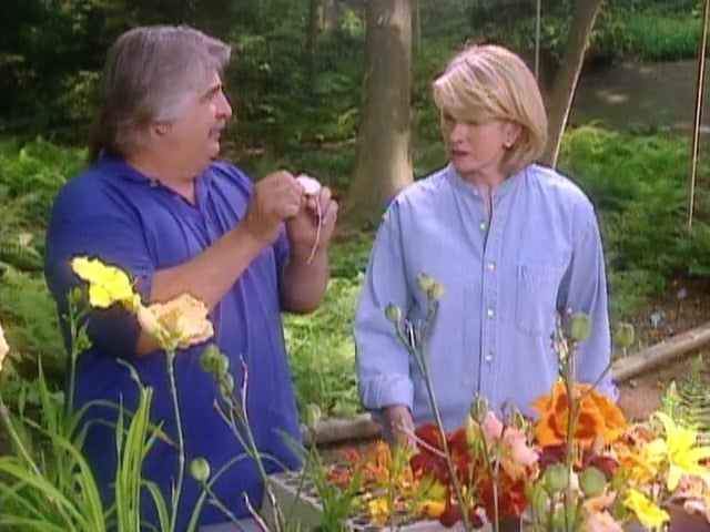 MSL Season 4 Episode 30V