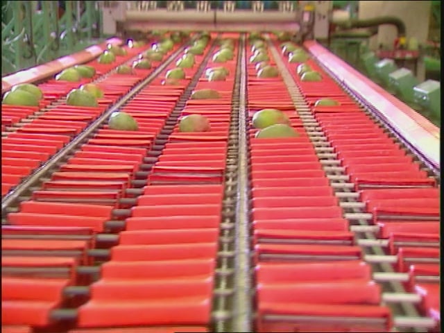 MSL Season 11 Episode 474V