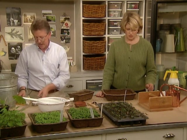 MSL Season 6 Episode 232V