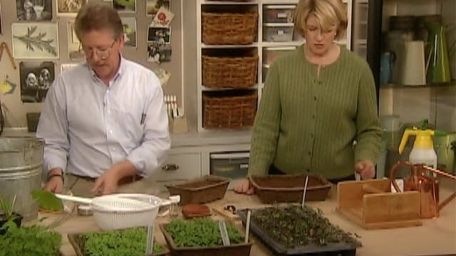 MSL Season 6 Episode 232V