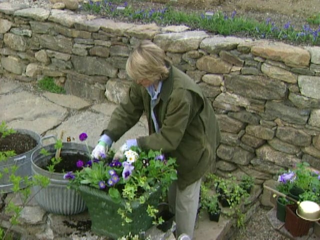 MSL Season 5 Episode 301V