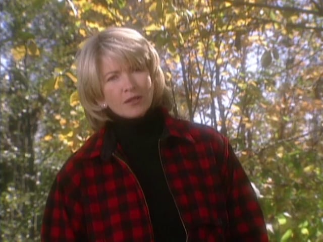 MSL Season 4 Episode 10V