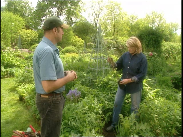 MSL Season 10 Episode 464V