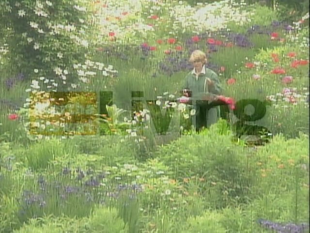 MSL Season 1 Episode 18V