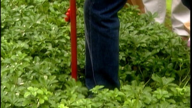 MSL Season 8 Episode 072V