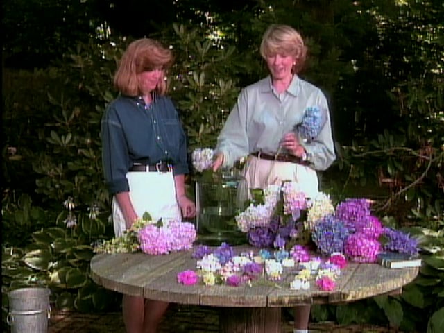 MSL Season 1 Episode 30V