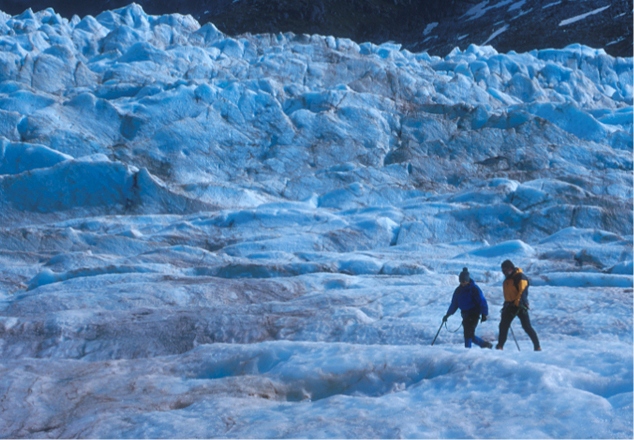 Escape! Martha's Favorite Field Trips & Food Adventures