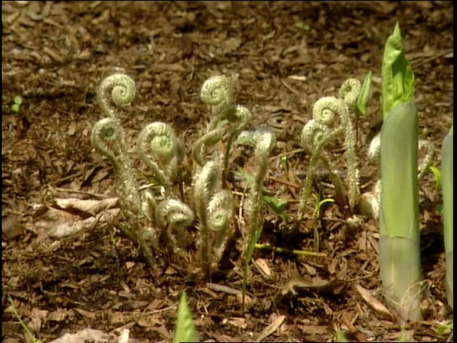 MSL Season 8 Episode 313V