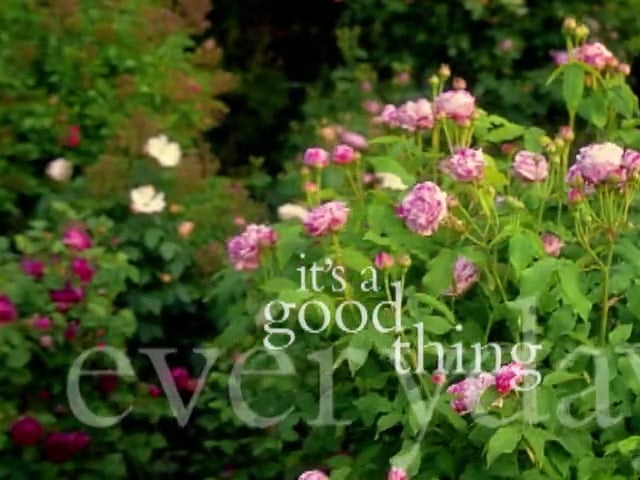 MSL Season 5 Episode 022V