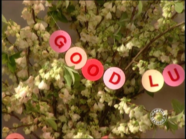 MSL Season 10 Episode 412V